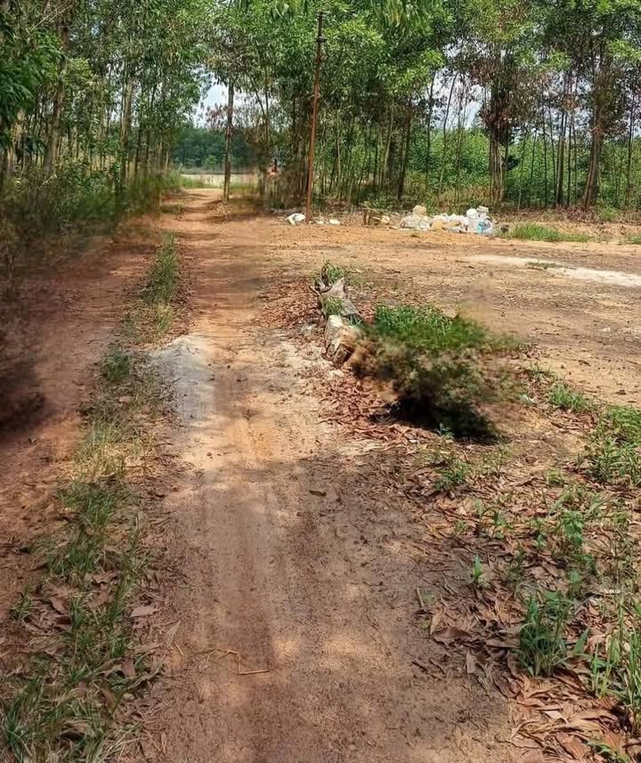 Đất nền Bình Minh Trảng Bom 1500m² chỉ 1 tỷ - Sổ đỏ chính chủ