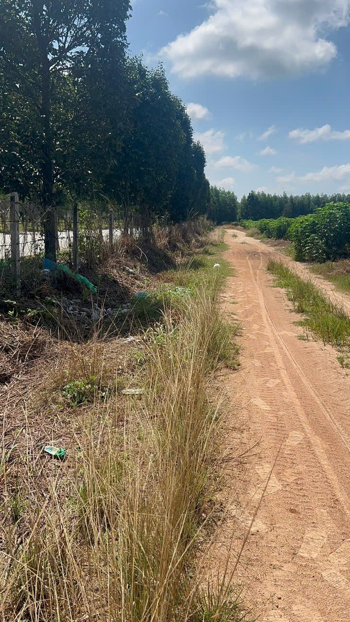 Đất nền Hưng Long, Chơn Thành 308m² giá chỉ 999 triệu - Sổ đỏ chính chủ!