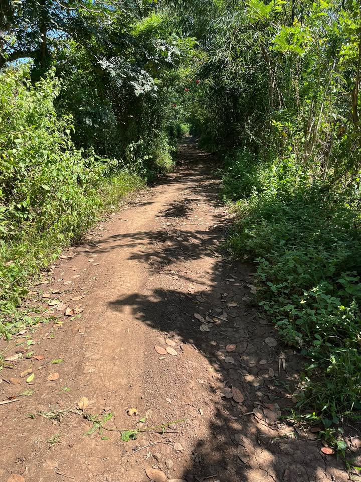 Đất nền Phú Túc Định Quán 14400m² giá 9 tỷ - Mặt tiền đẹp, tiện ích xung quanh!