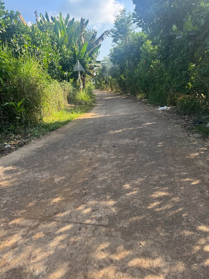 Đất Bảo Vinh Long Khánh 260m² giá 1.7 tỷ - Lô hiếm cách Vành Đai 2 chỉ 100m!