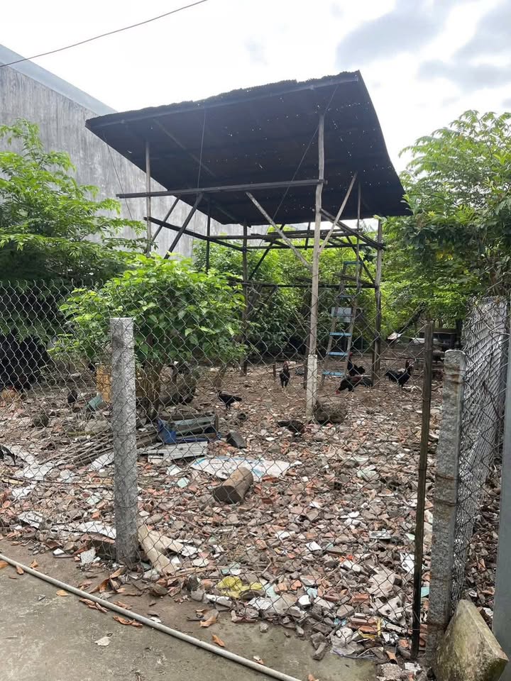 Đất nền Trần Hưng Đạo - Bình Khánh, Long Xuyên 178m² chỉ 2.8 tỷ - Cơ hội đầu tư tiềm năng!