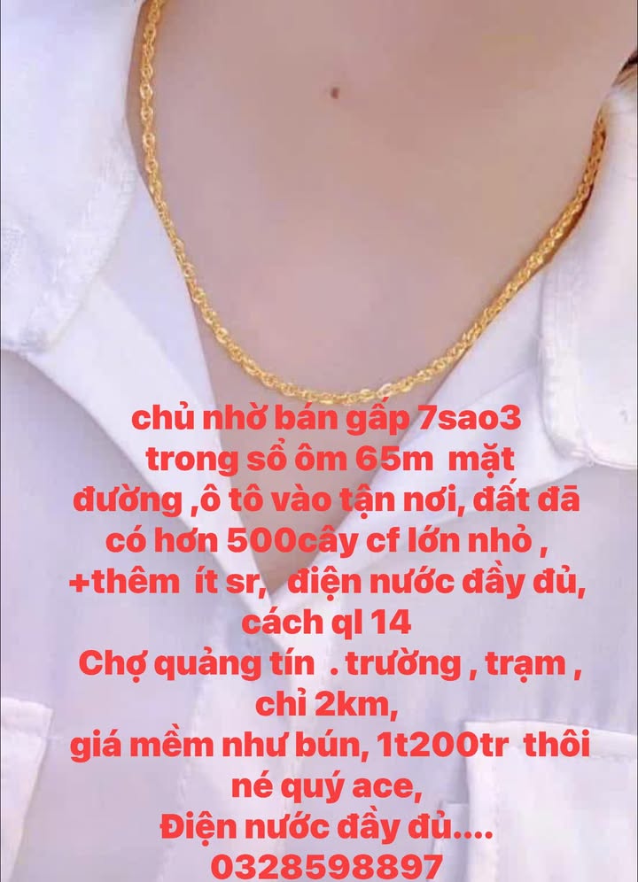 Đất Quảng Tín Đắk Nông 65m² giá 1.2 tỷ - Bán gấp, ô tô vào tận nơi!