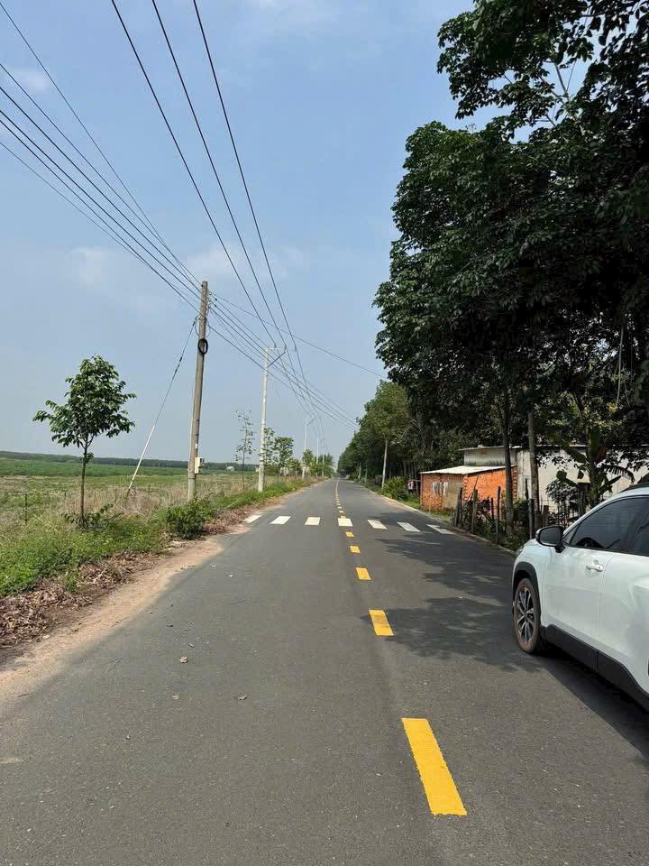 Bán đất mặt tiền đường số 24, xã Nha Bích 145m² giá 460 triệu - Cơ hội đầu tư tuyệt vời!