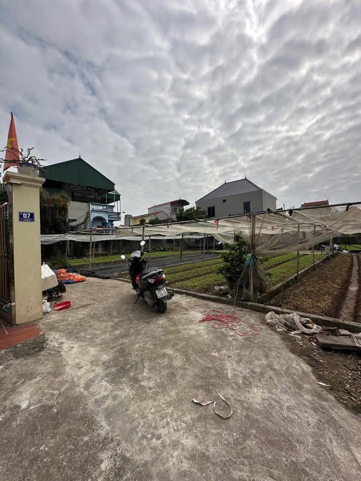 Đất nền Thư Phú Thường Tín 62.9m² giá 3.836 tỷ - Nở hậu đón Tài Lộc!