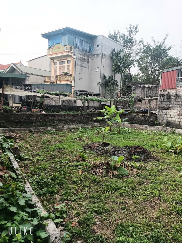 Đất Thắng Lợi, Thường Tín 104,5m² giá 3,69 tỷ - Đường ô tô vào tận nơi!