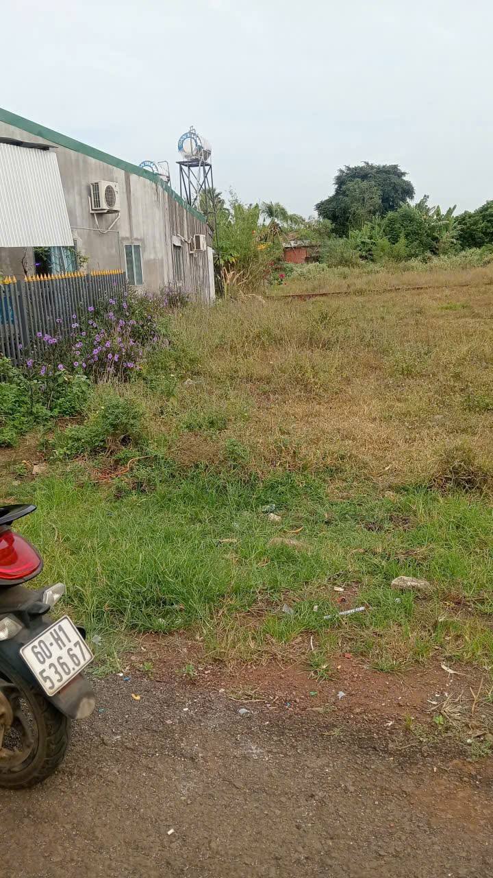 Đất thổ cư Dầu Giây 170m² giá 1.25 tỷ - Mặt tiền nhựa thông thoáng!