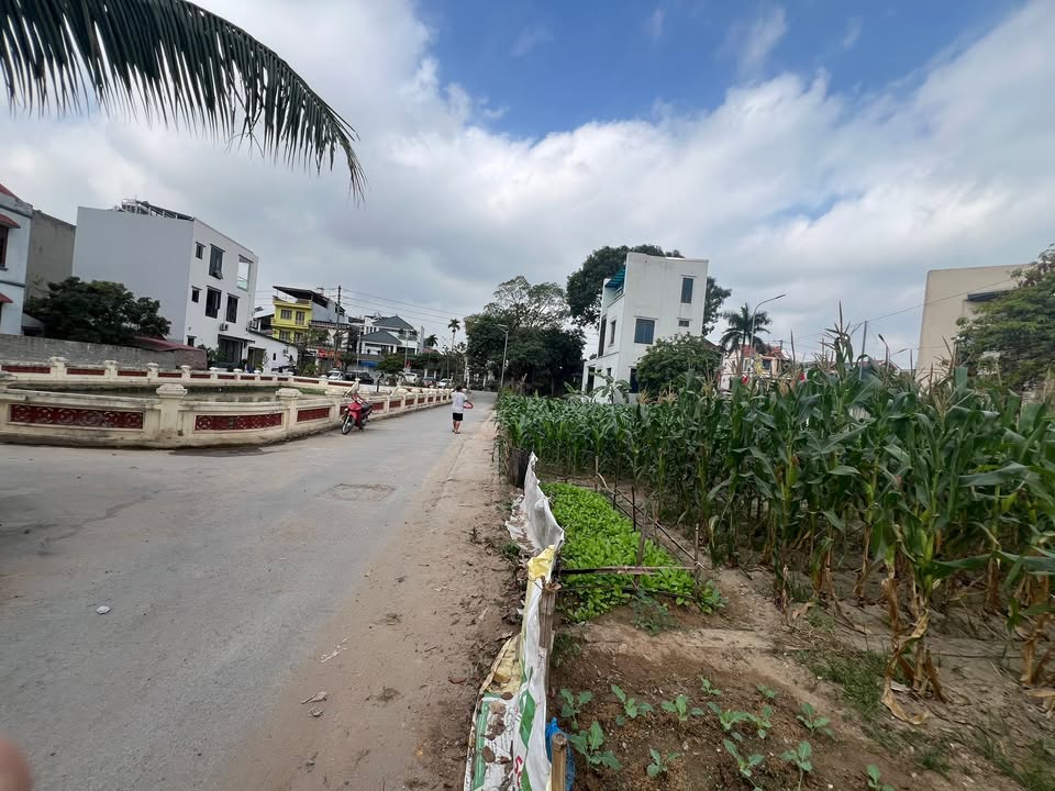 Đất nền khu Viu Hồ, Đông Anh 80m² giá thỏa thuận - Cơ hội đầu tư hiếm có!