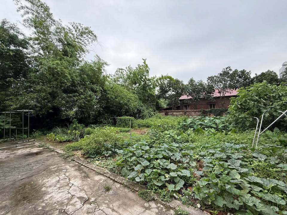 Đất nền Nam Hồng, Đông Anh 70m² - Chính chủ, mặt tiền 4m, gần chợ và trường học!