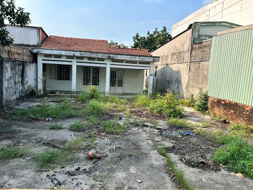 Đất nền Hóc Môn 372m² giá 12 tỷ - Mặt tiền Tân Thới Nhì 2