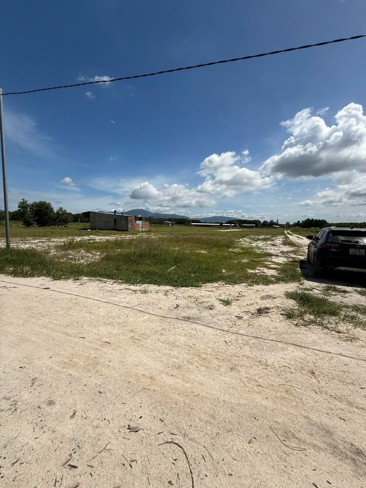 Đất trồng cây lâu năm Cát Hiệp 7000m² giá 1 tỷ - Đầu tư ngay cho tương lai!