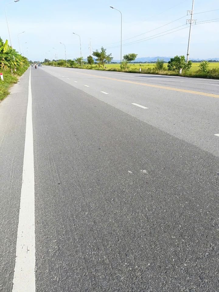 Đất trồng cây lâu năm tại Đại Hưng, Mỹ Đức 990m² - Cơ hội đầu tư hấp dẫn!