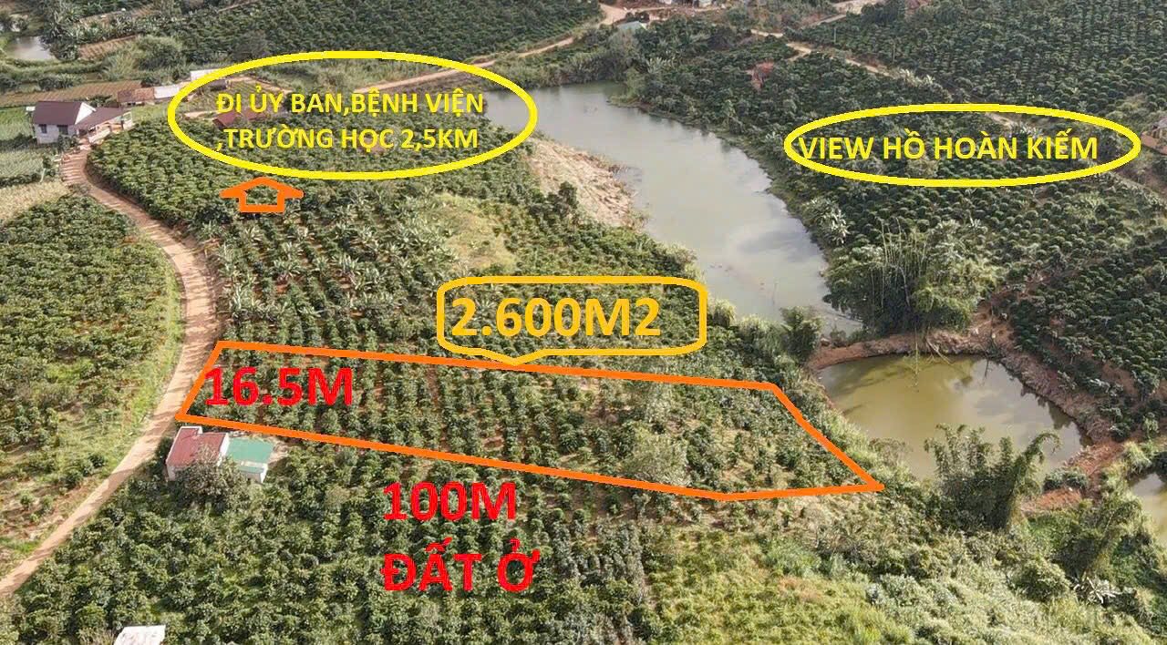 Đất thổ cư 2600m² tại Nam Hà, Lâm Hà chỉ 2 tỷ - Cơ hội đầu tư không thể bỏ lỡ!