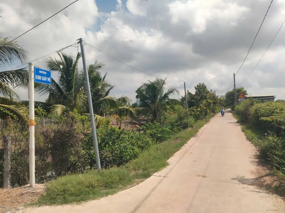 Đất 2 mặt tiền 1000m² tại ấp Lộc Hậu, Cần Giuộc - Giá chỉ 3.6 tỷ!