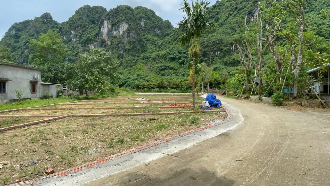 Đất thổ cư 1000m² Thanh Sơn - Lương Sơn - Giá chỉ 4 triệu/m² - Cơ hội đầu tư tuyệt vời!