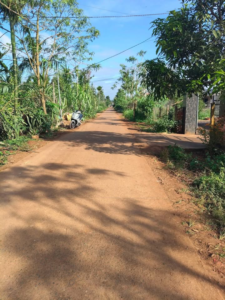 Đất nền Pơng Drang, Krông Búk 840m² giá tốt - Phân lô lý tưởng!