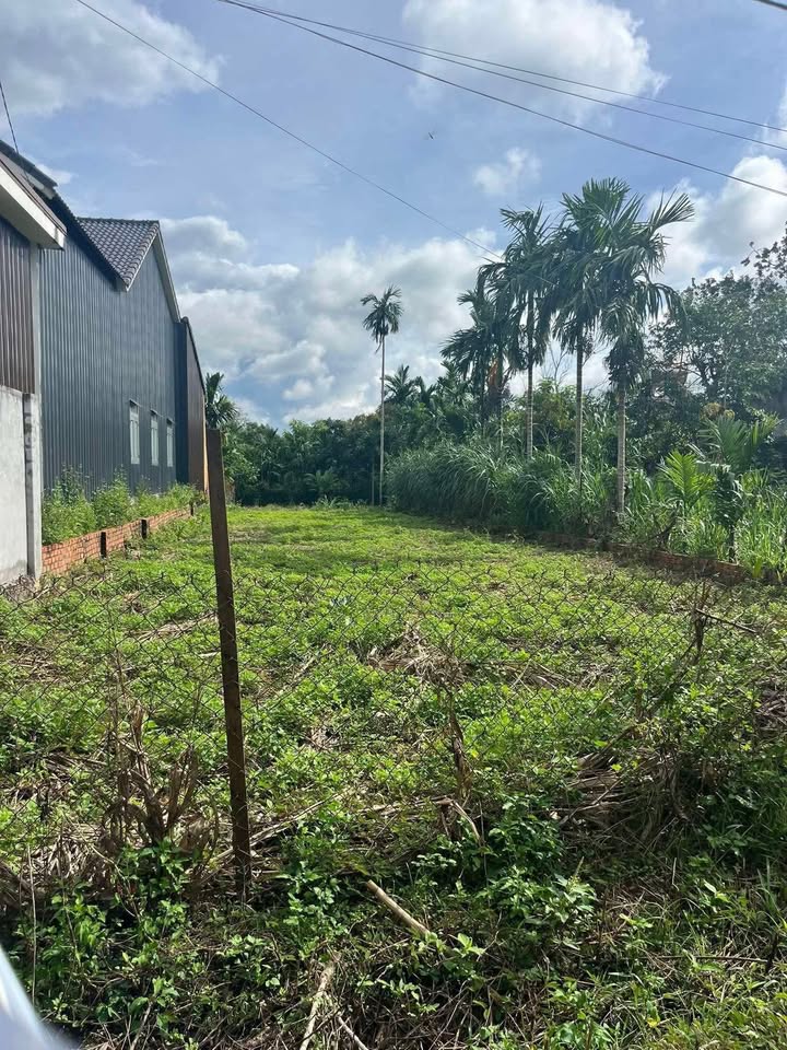 Đất thổ cư Tân Hòa, Ea Ktur, Cư Kuin 500m² giá 150 triệu - Cơ hội đầu tư tuyệt vời!