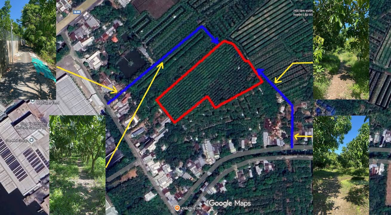 Bán đất Bình Thành Lấp Vò 12.000m² giá 3 tỷ - Đầu tư sinh lời tuyệt vời!