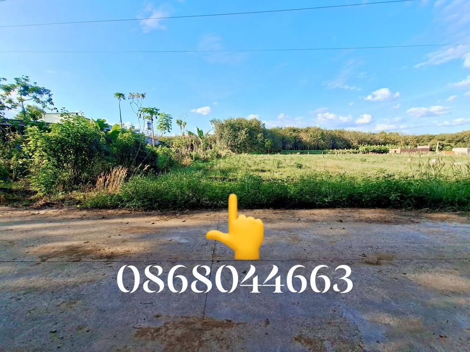 Đất thổ cư 260m² An Linh, Phú Giáo chỉ 500 triệu - Gần chợ và trường học!