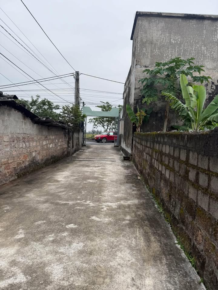 Đất nền Quang Minh, Kiến Xương 81m² giá thỏa thuận - Dân cư đông đúc, vị trí đắc địa!