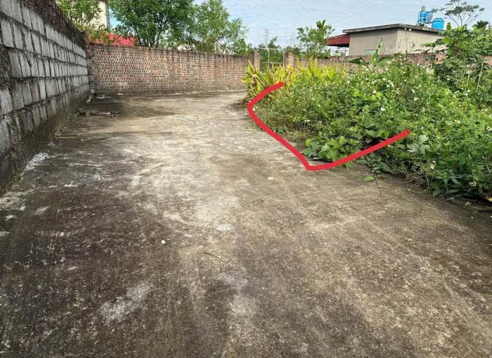 Đất nền Hòa An, Thái Thụy 100m² giá 300 triệu - Sổ đỏ trao tay ngay!