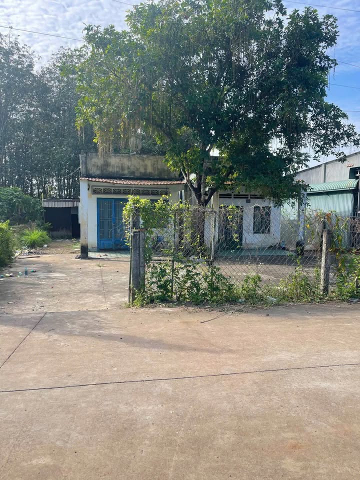 Đất nền An Linh, Phú Giáo 2800m² giá 2.5 tỷ - Đối diện trường học, chợ An Linh Phú!