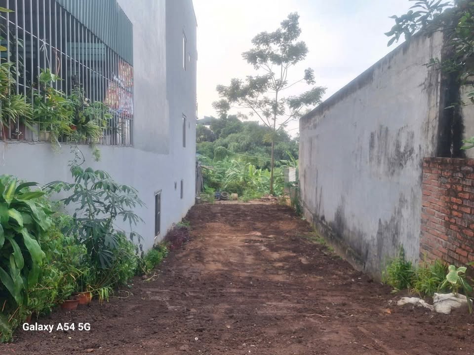 Đất nền Thanh Miếu Việt Trì 146m² giá 2 tỷ - Cơ hội đầu tư tuyệt vời!