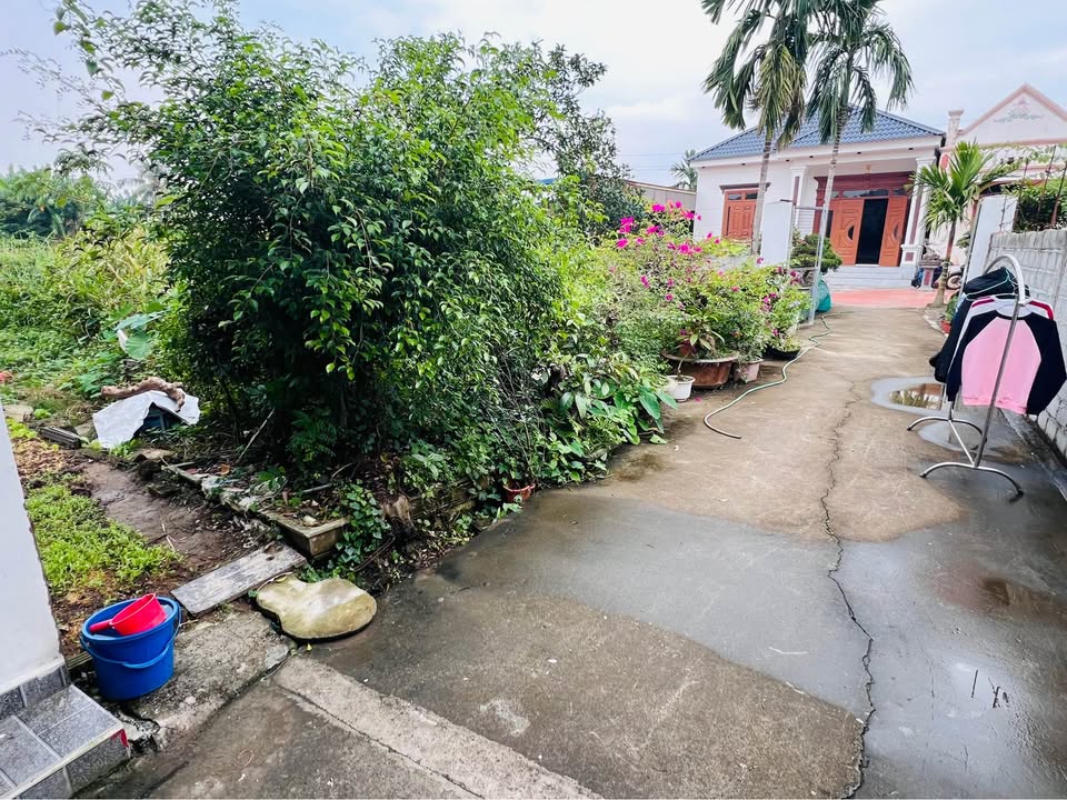 Đất nền An Thọ, An Lão 65,5m² giá chỉ 500 triệu - Cơ hội đầu tư sinh lời!