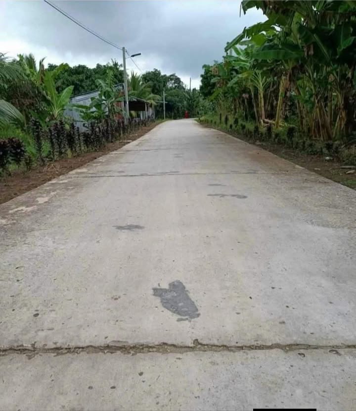 Đất nền phường Đại Thành, Ngã Bảy 315m² giá 350 triệu - Sổ hồng riêng, ô tô vào tận nơi!