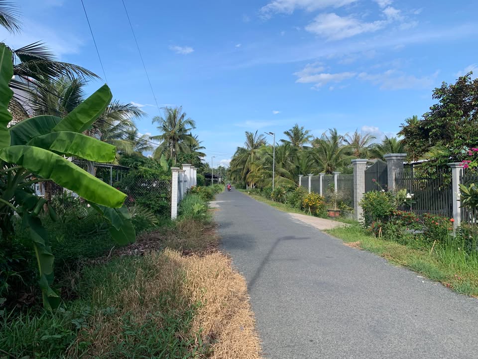 Đất thổ cư 325m² xã Tân Hòa, Vĩnh Long - Giá chỉ 850 triệu, sổ hồng chính chủ!