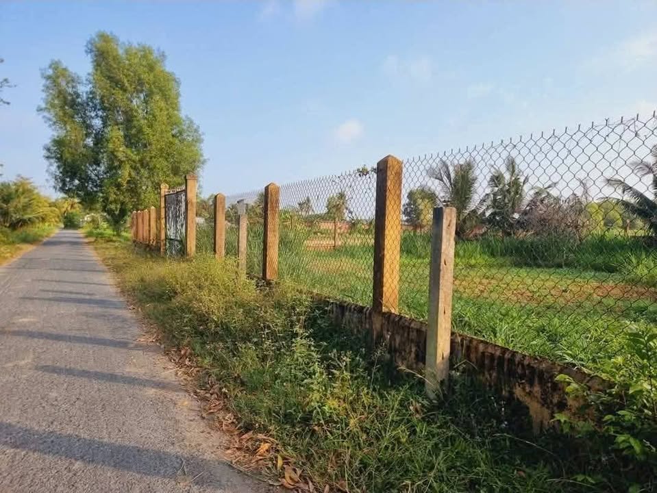 Đất nền Hòa Thuận, Châu Thành, 130m² giá 550 triệu - Pháp lý rõ ràng, công chứng ngay!