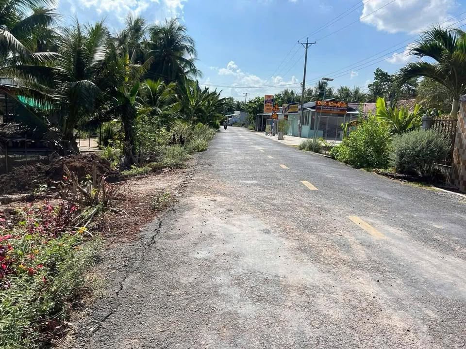 Đất vườn 5000m² tại An Trường A, Càng Long - Giá chỉ 4 tỷ và tặng nhà cấp 4!