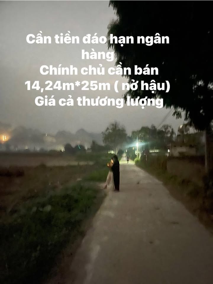 Đất nền 356.25m² tại Châu Quang, Quỳ Hợp - Sổ hồng chính chủ, giá tốt nhất thị trường!