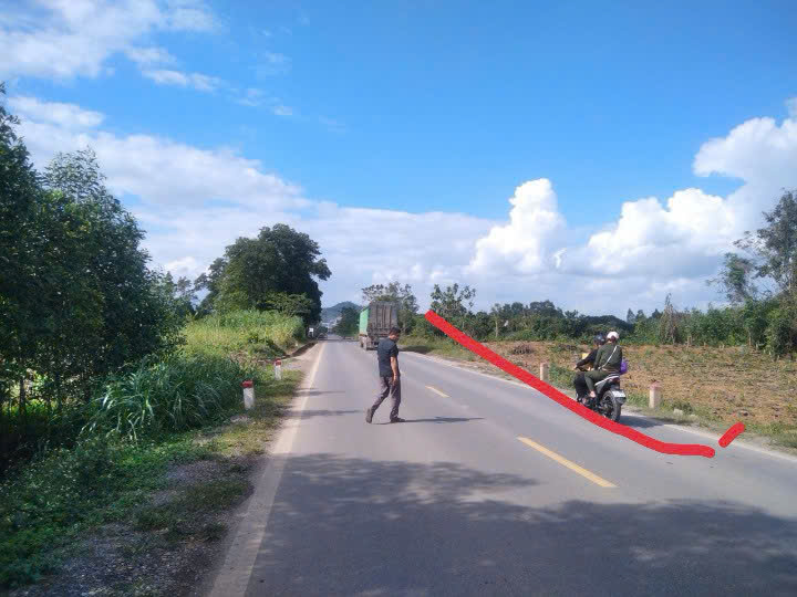 Đất Tân Thái Nghĩa Đàn 5000m² - Đầu tư sinh lời hấp dẫn!