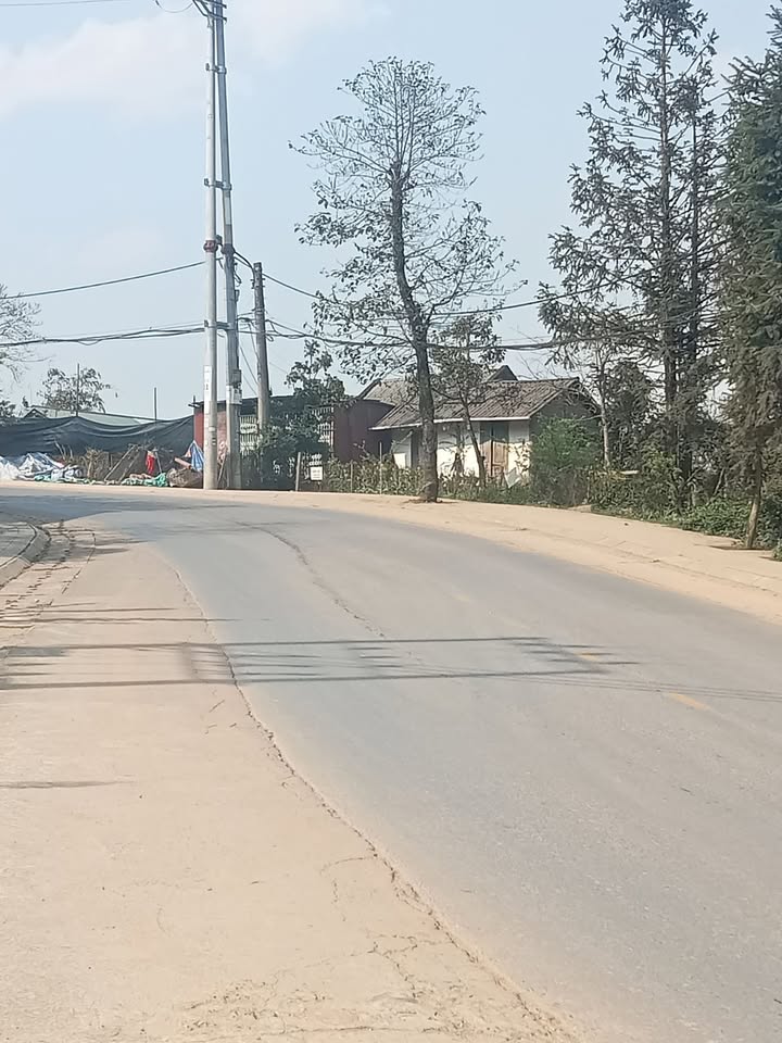 Đất thổ cư 700m² tại Điện Biên Phủ, Sa Pa - Tiềm năng homestay lý tưởng!