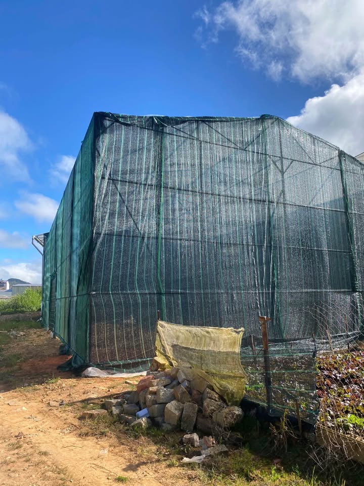 Bán lô đất Võ Trường Toản, Đà Lạt 63m² giá 850 triệu - Vị trí đẹp, đầu tư sinh lời!