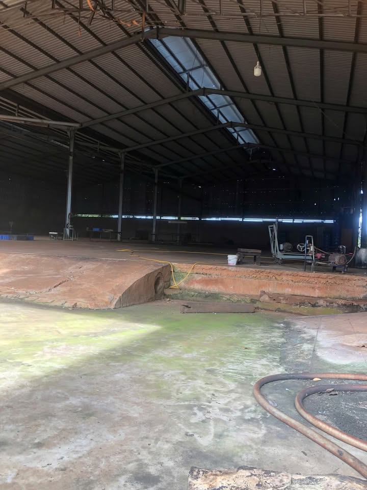 Kho xưởng cho thuê tại Phước Bình 1600m² - Diện tích lớn, dễ dàng tiếp cận!