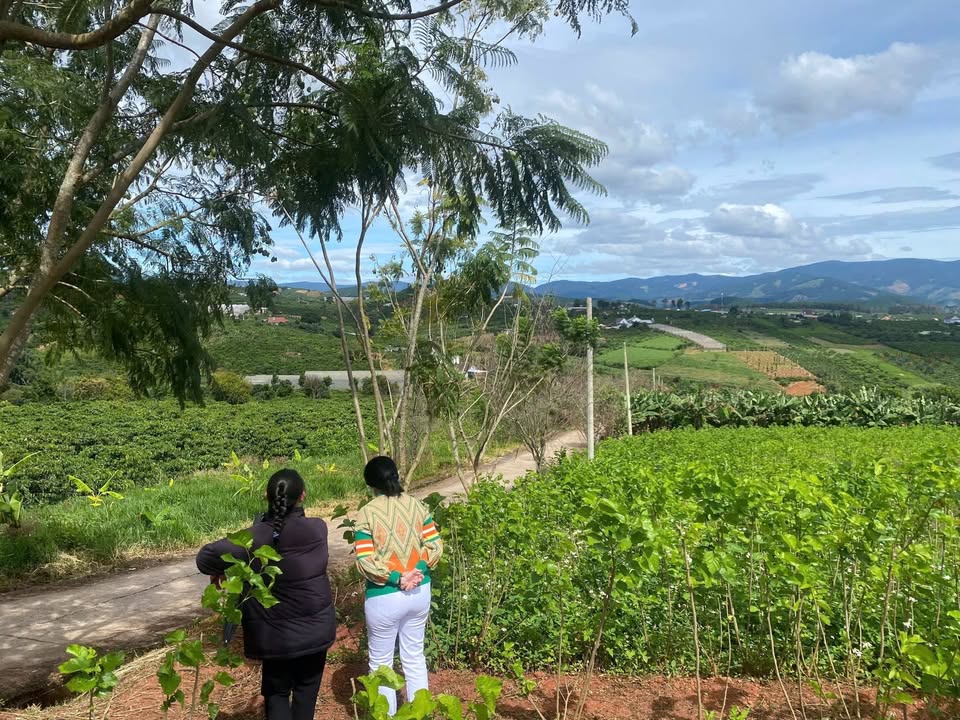 Lô đất 2 mặt tiền tại xã Nam Hà, Lâm Hà 1400m² giá 2.35 tỷ - View thung lũng săn mây tuyệt đẹp!