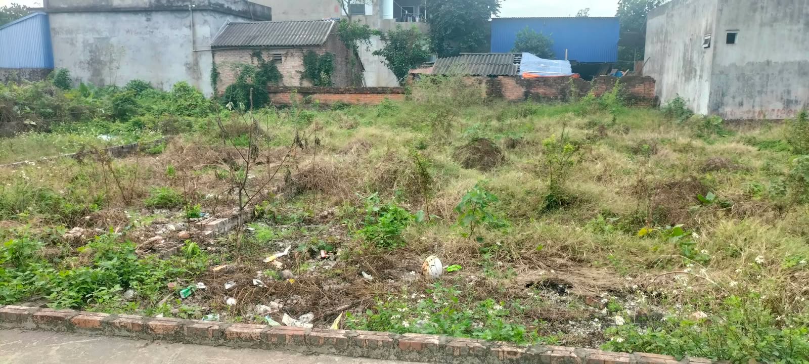 Đất nền Cẩm Xá, Mỹ Hào 120m² giá chỉ 3 tỷ - Cơ hội đầu tư sinh lời!