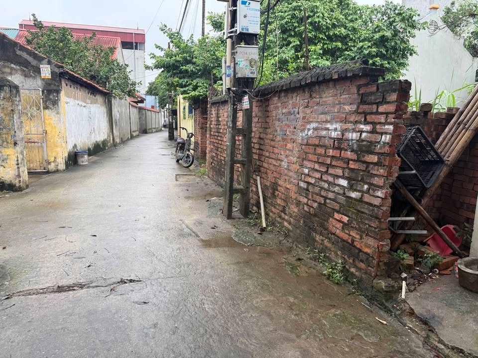 Đất nền Làng Trung, Liêu Xá 80m² chỉ 1 tỷ - Cơ hội đầu tư tuyệt vời!