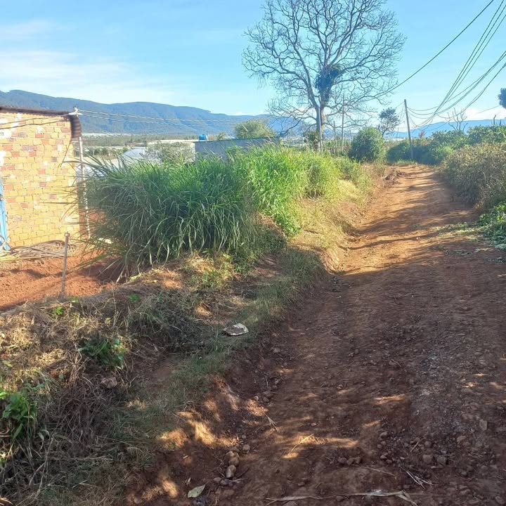 Đất nền 3200m² Tu Tra, Đơn Dương, Lâm Đồng - Giá chỉ 2.2 tỷ, sẵn điện nước!