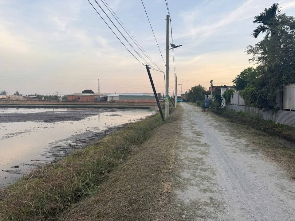 Đất mặt tiền đường Đá Xanh, Tân Mỹ, Đức Hòa, 200m² giá 780 triệu - Cơ hội đầu tư tốt!