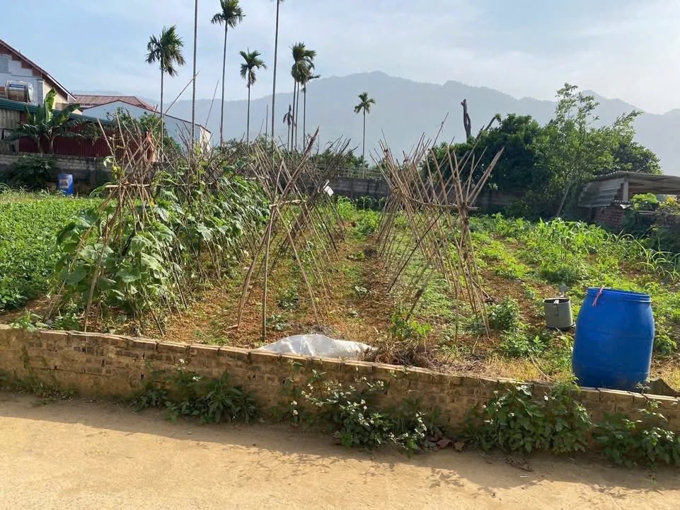 Đất nền Yên Bình Thạch Thất 580m² giá tốt - Đầu tư không thể bỏ lỡ!