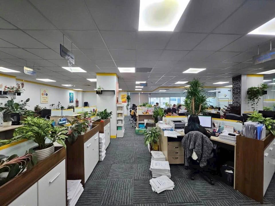 Văn phòng cho thuê Hoàng Ngân, Cầu Giấy 350m² - Tòa nhà mới hoàn thiện, giá tốt!