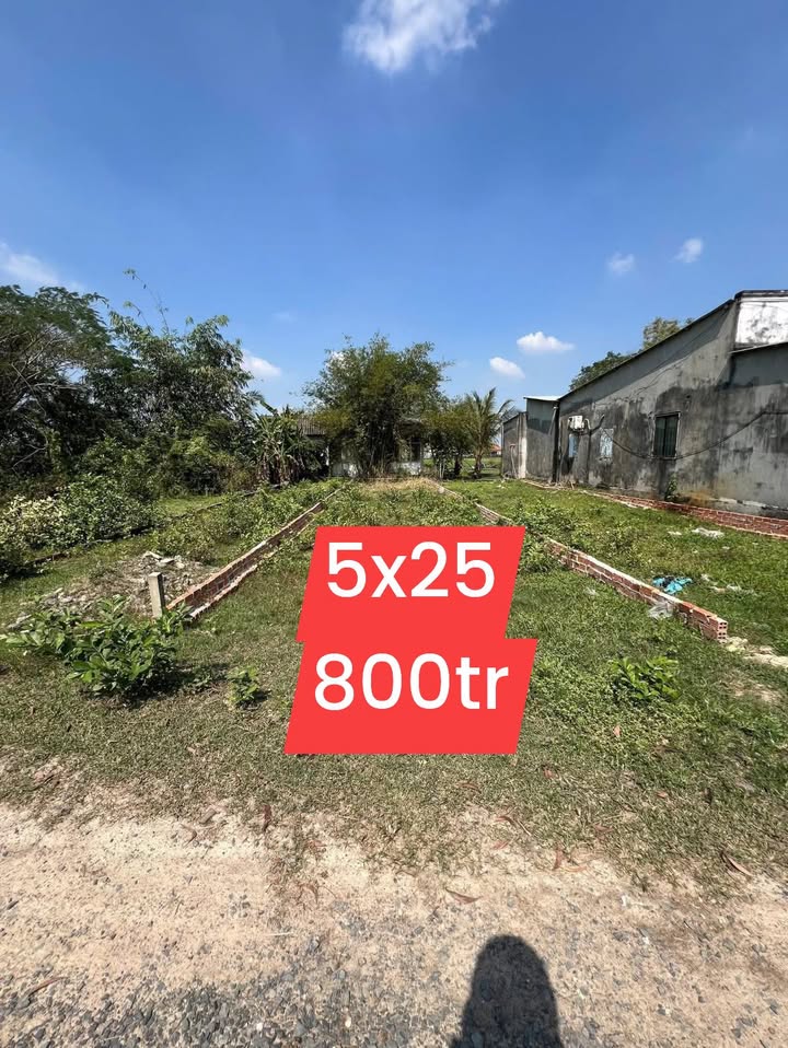 Đất thổ cư 125m² tại Giồng Lớn, Đức Hòa chỉ 800 triệu - Sổ hồng chính chủ!