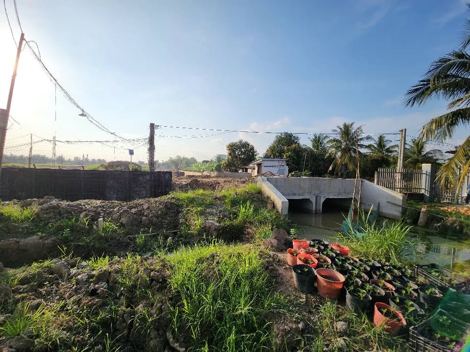 Đất thổ cư Phước Thạnh - Mặt tiền kênh đìa thùng 50m² chỉ 650 triệu - Cơ hội đầu tư tuyệt vời!