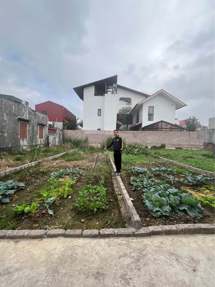 Đất nền Hoa Động Thủy Nguyên 80m² giá 2 tỷ - Cơ hội đầu tư hấp dẫn!