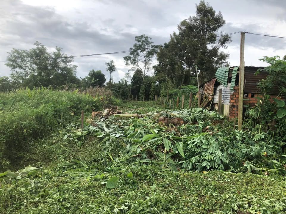 Đất nền Đắk Lắk 225m² giá 775 triệu - Đường nhựa Mai Xuân Thưởng thẳng tắp!