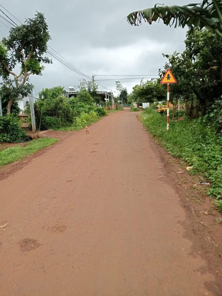 Đất nền mặt tiền đường Mai Xuân Thưởng Buôn Hồ 550m² - Cơ hội đầu tư tuyệt vời!