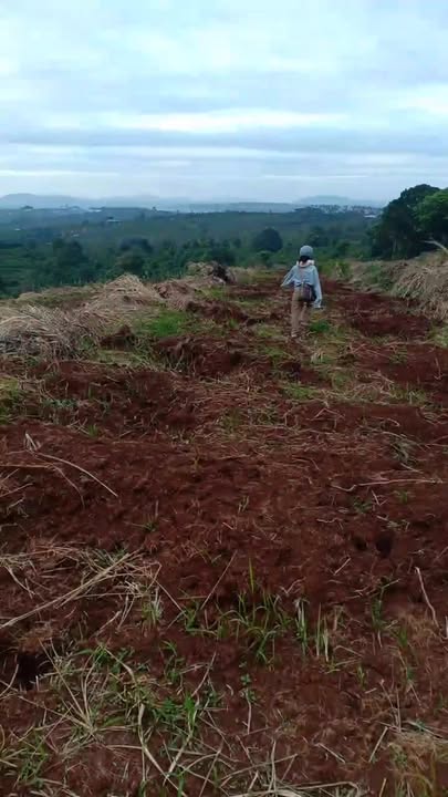 Đất nông nghiệp 1.9 hecta tại Dliê Yang, Ea H'leo - Cơ hội đầu tư tuyệt vời!