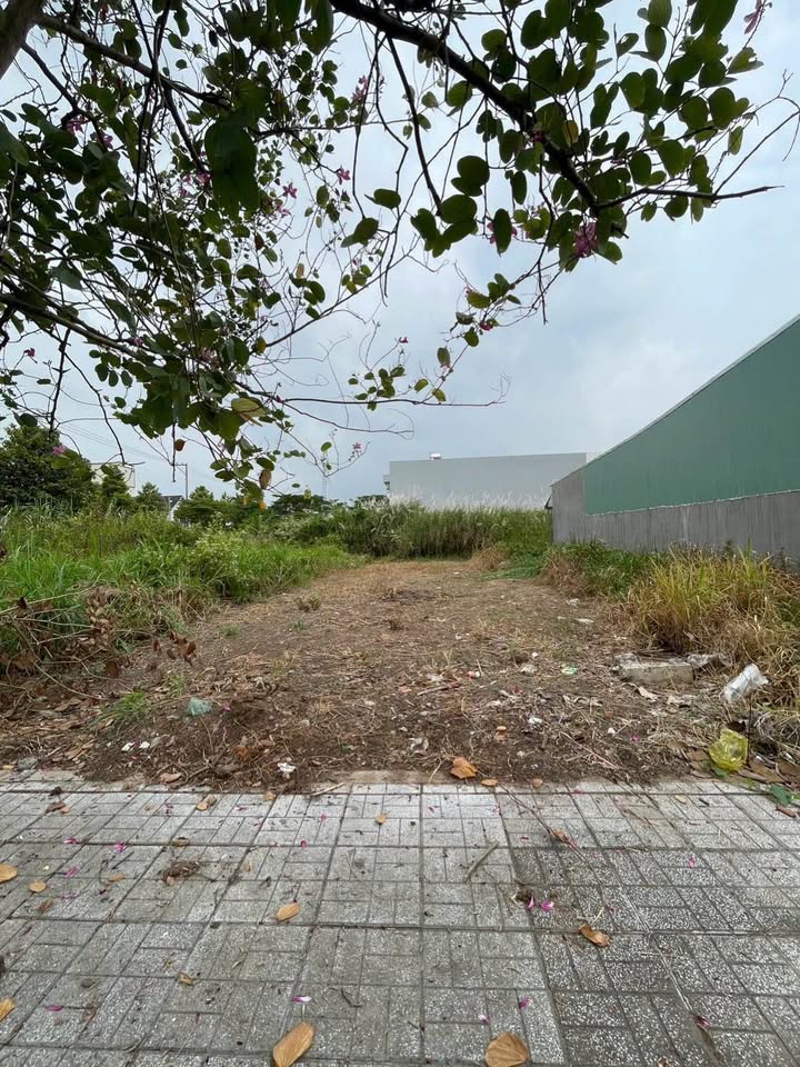 Đất nền KDC Thỏ Đế, Bình Đức, 83m² giá 1.2 tỷ - Sẵn sàng xây dựng ngay!